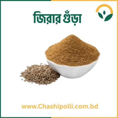 Cumin Powder জিরার গুঁড়া